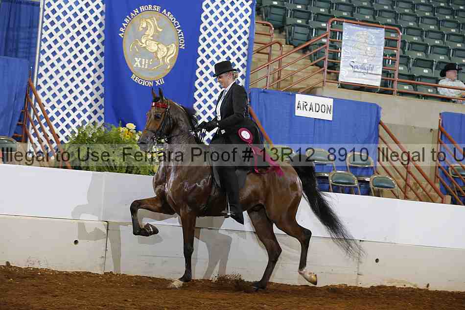 Proof Number 13r12_8910