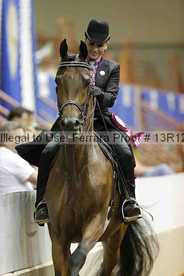 Proof Number 13r12_8919
