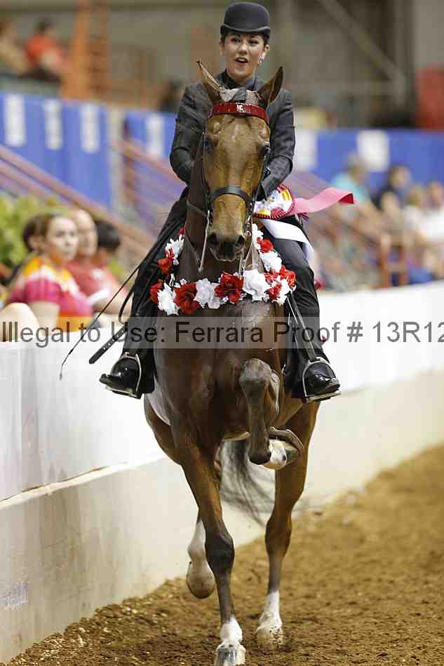 Proof Number 13r12_8923