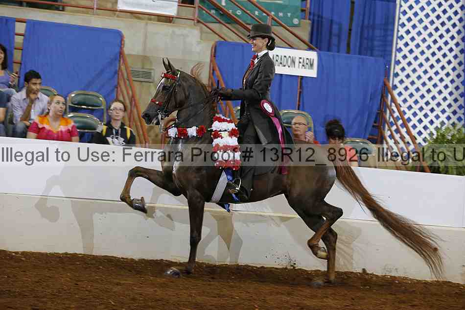 Proof Number 13r12_8926