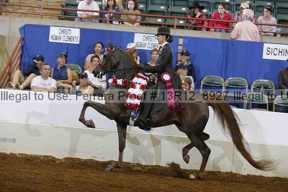Proof Number 13r12_8927