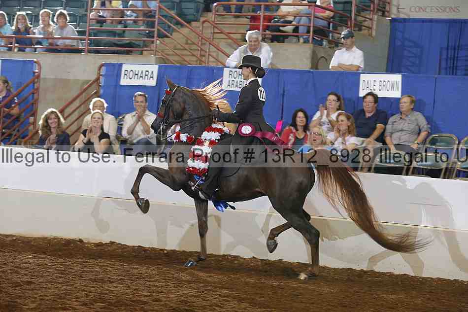 Proof Number 13r12_8928