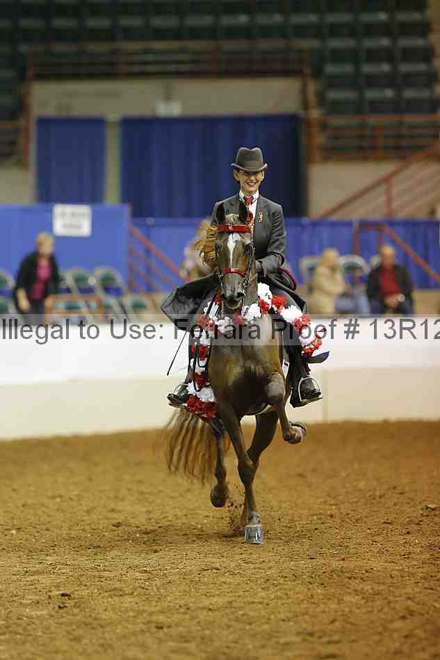 Proof Number 13r12_8934