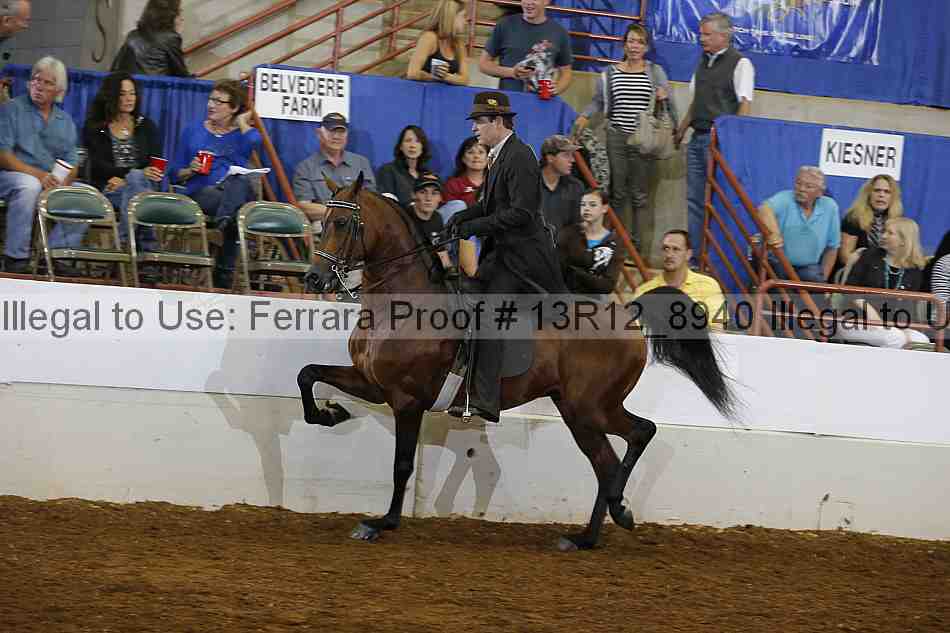 Proof Number 13r12_8940