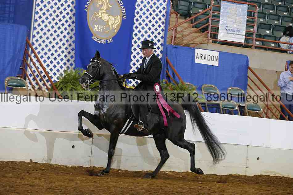 Proof Number 13r12_8960