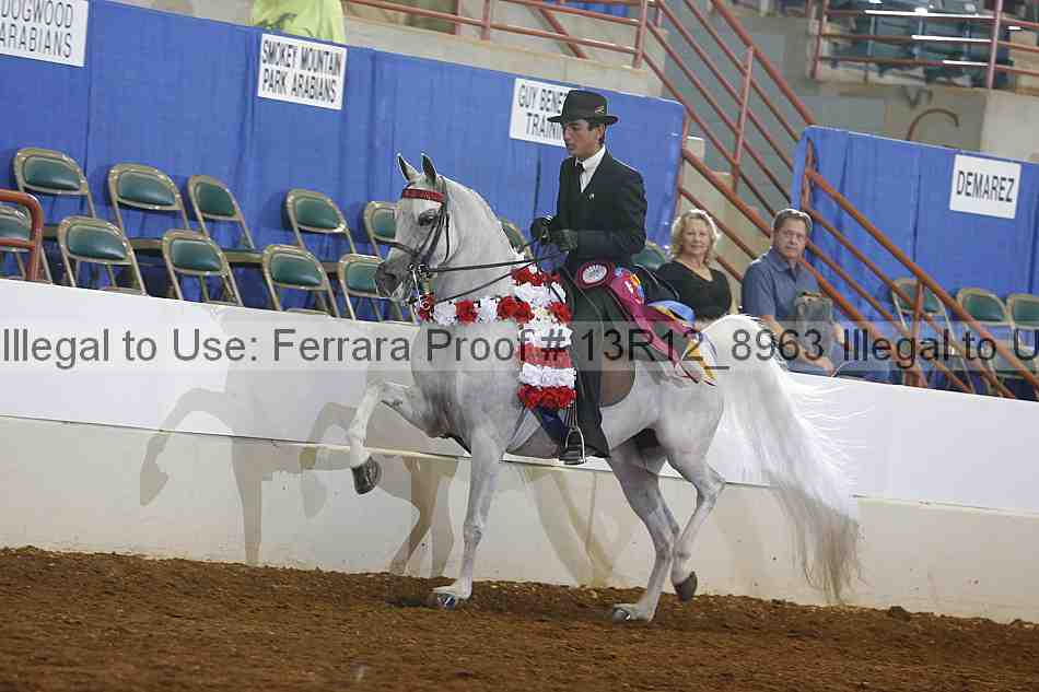 Proof Number 13r12_8963
