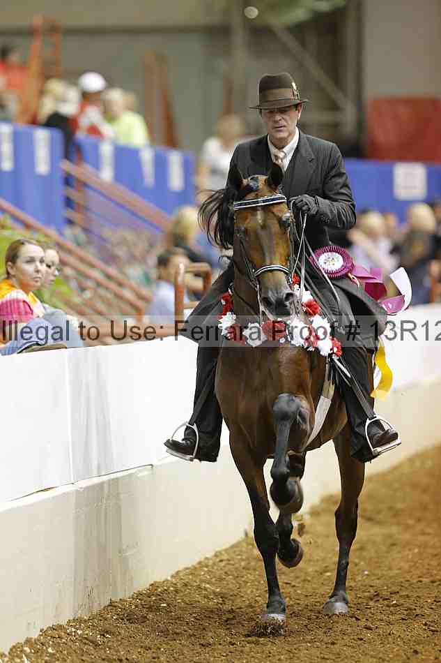 Proof Number 13r12_8964