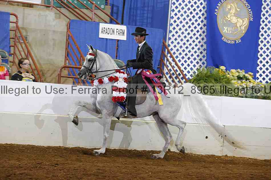 Proof Number 13r12_8965