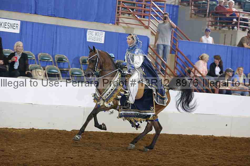 Proof Number 13r12_8976