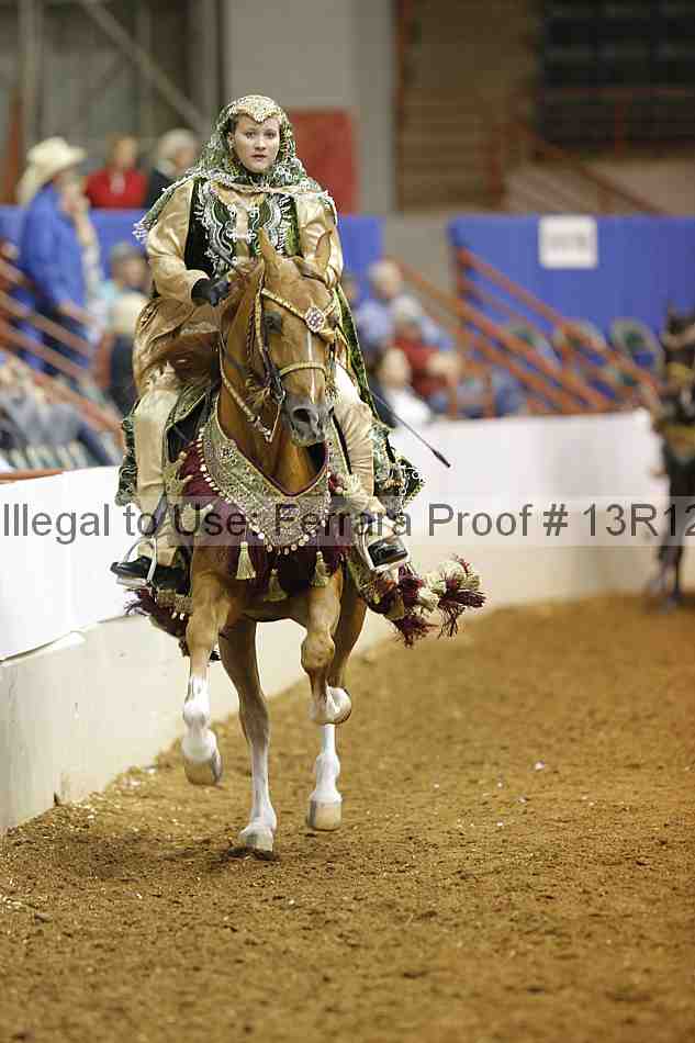 Proof Number 13r12_8994
