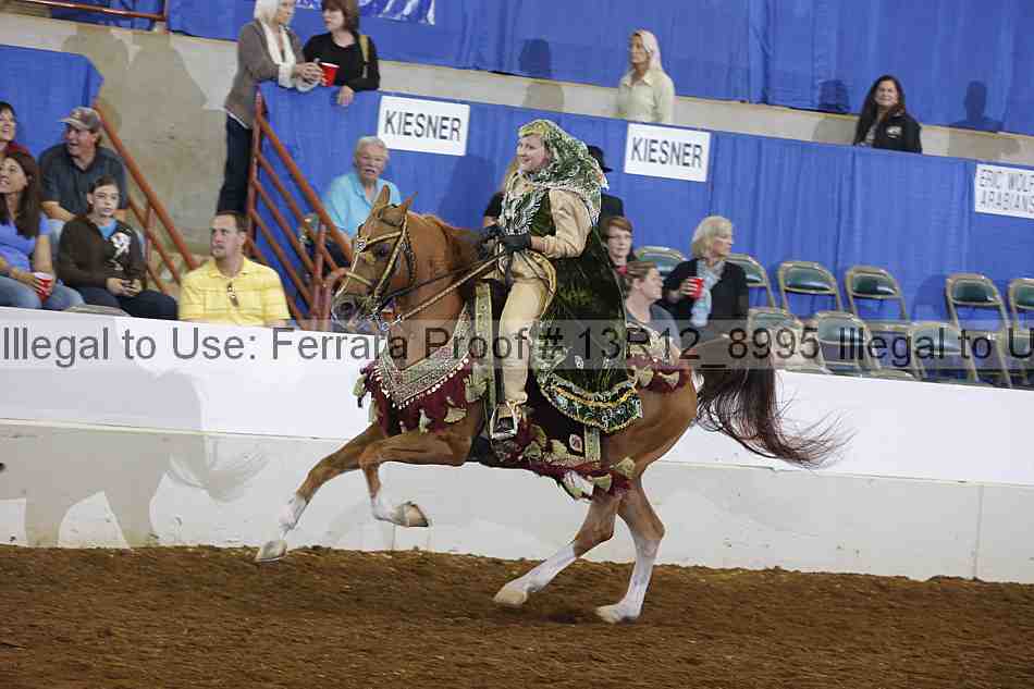 Proof Number 13r12_8995
