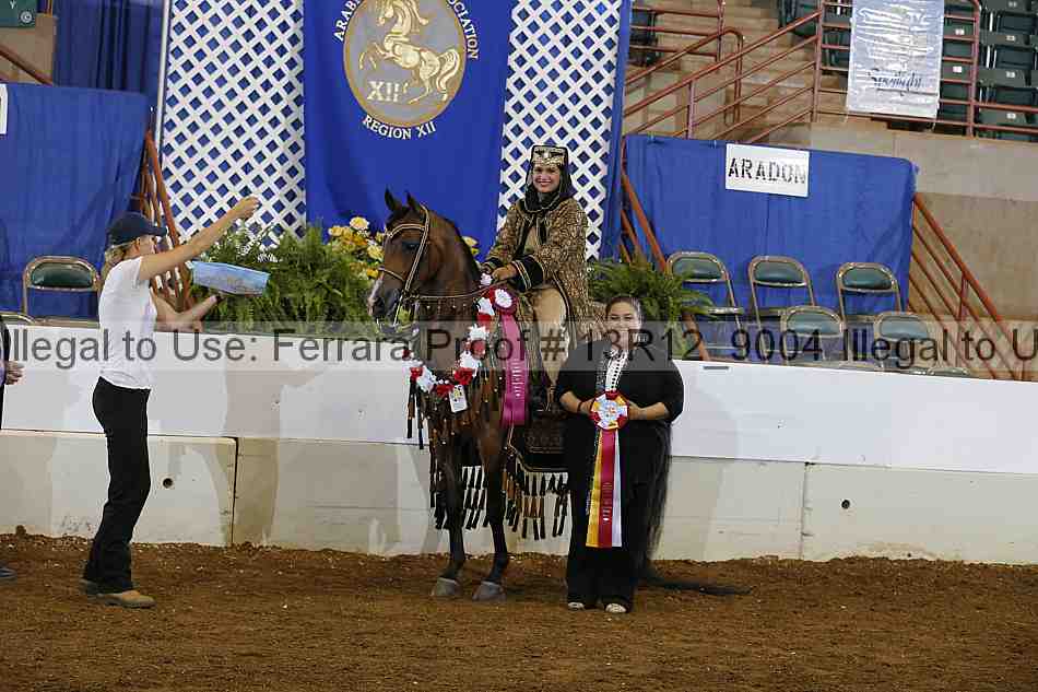 Proof Number 13r12_9004