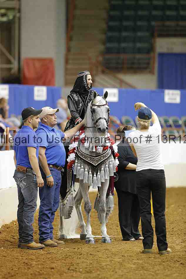 Proof Number 13r12_9026