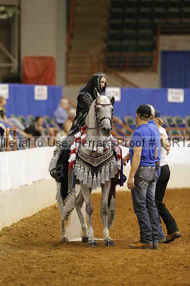 Proof Number 13r12_9031