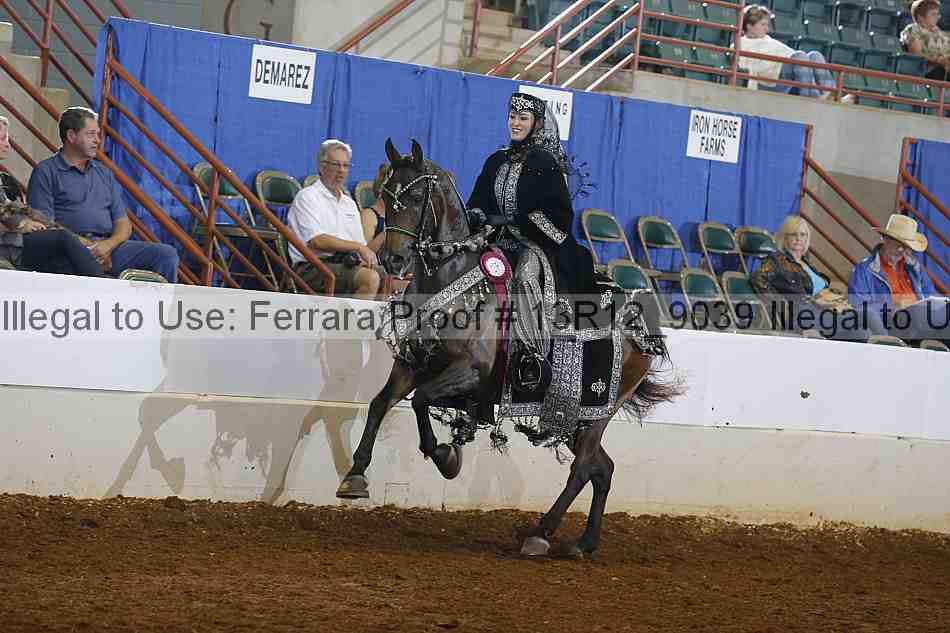 Proof Number 13r12_9039