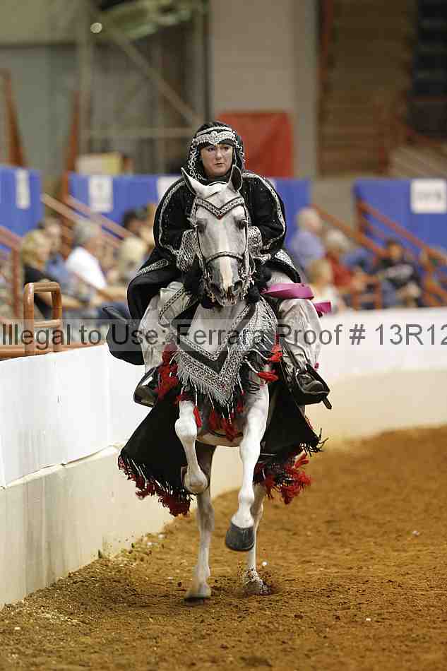 Proof Number 13r12_9041