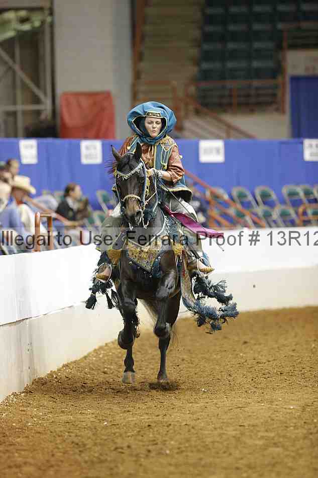 Proof Number 13r12_9046