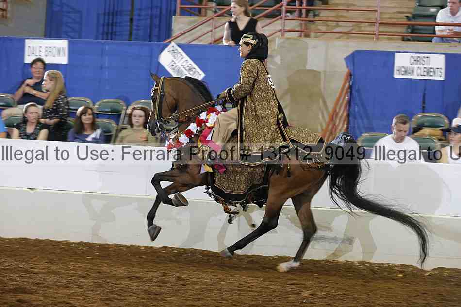 Proof Number 13r12_9049