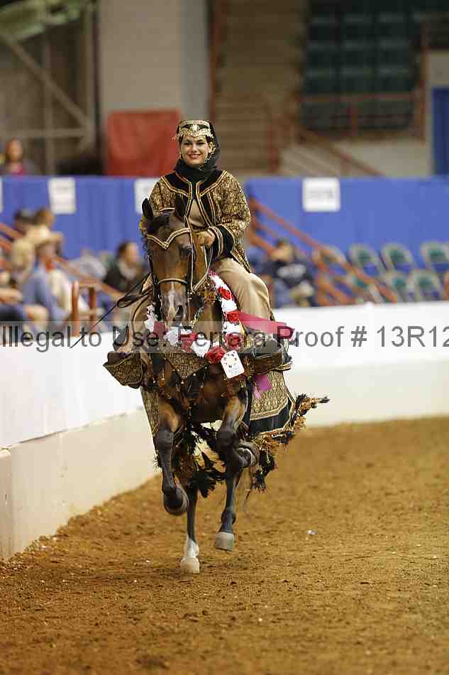 Proof Number 13r12_9051