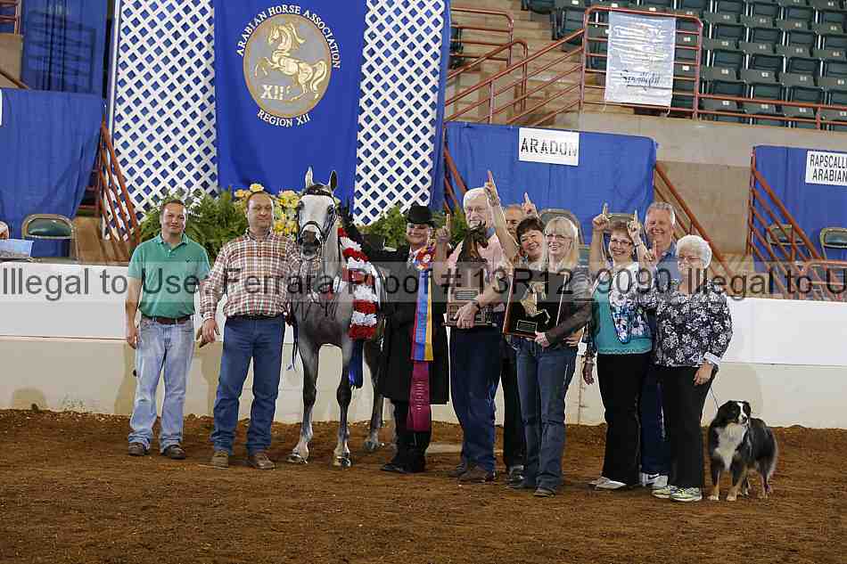 Proof Number 13r12_9090