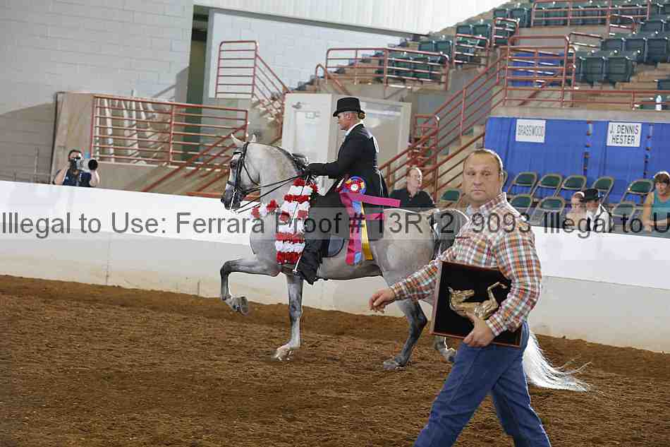 Proof Number 13r12_9093