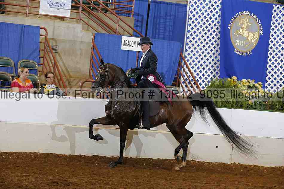 Proof Number 13r12_9095