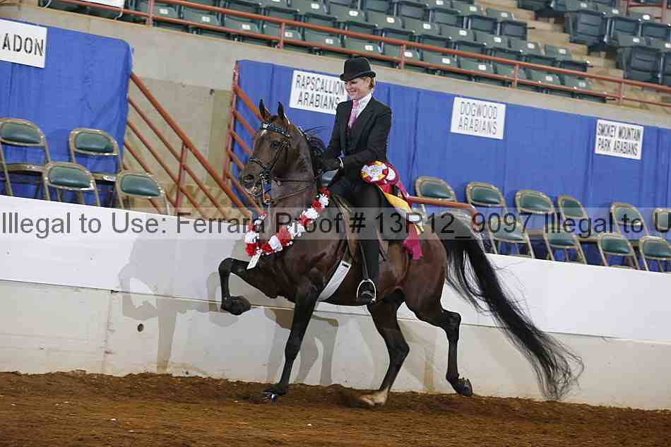 Proof Number 13r12_9097