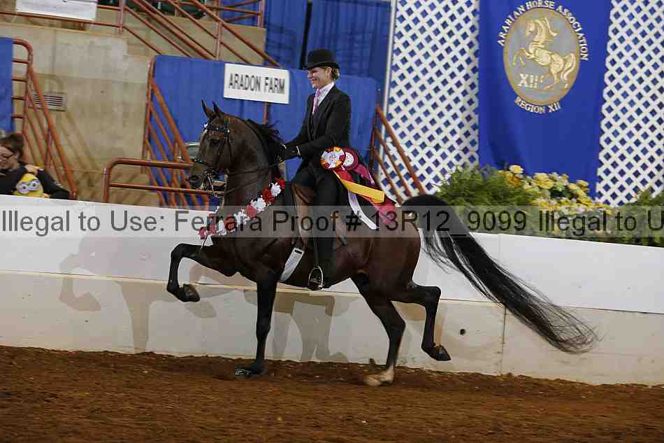 Proof Number 13r12_9099