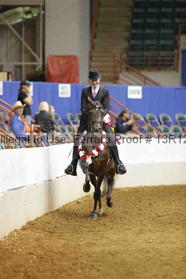 Proof Number 13r12_9101