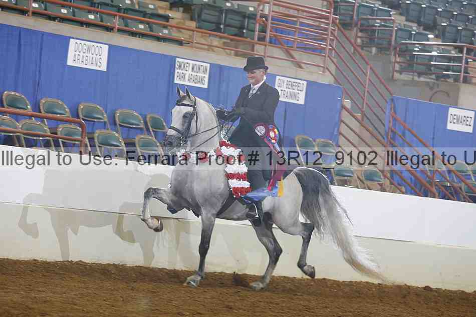 Proof Number 13r12_9102