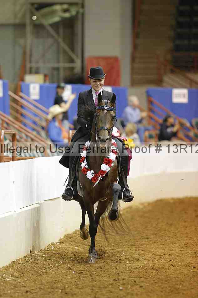 Proof Number 13r12_9103
