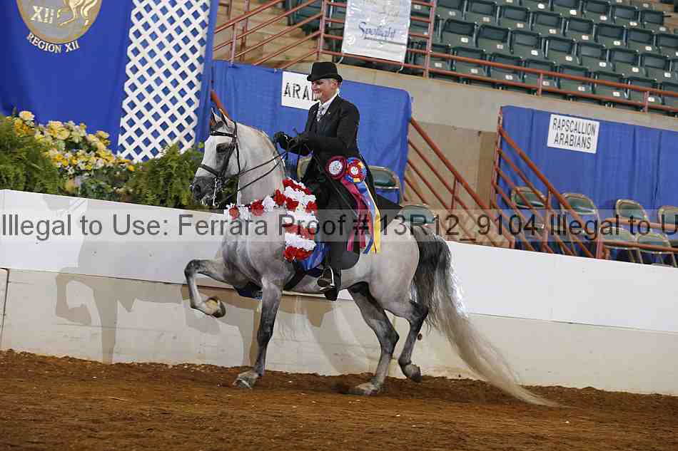Proof Number 13r12_9104