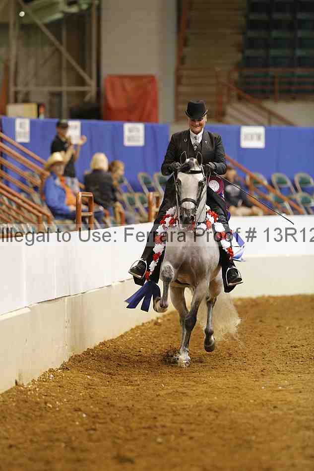 Proof Number 13r12_9107