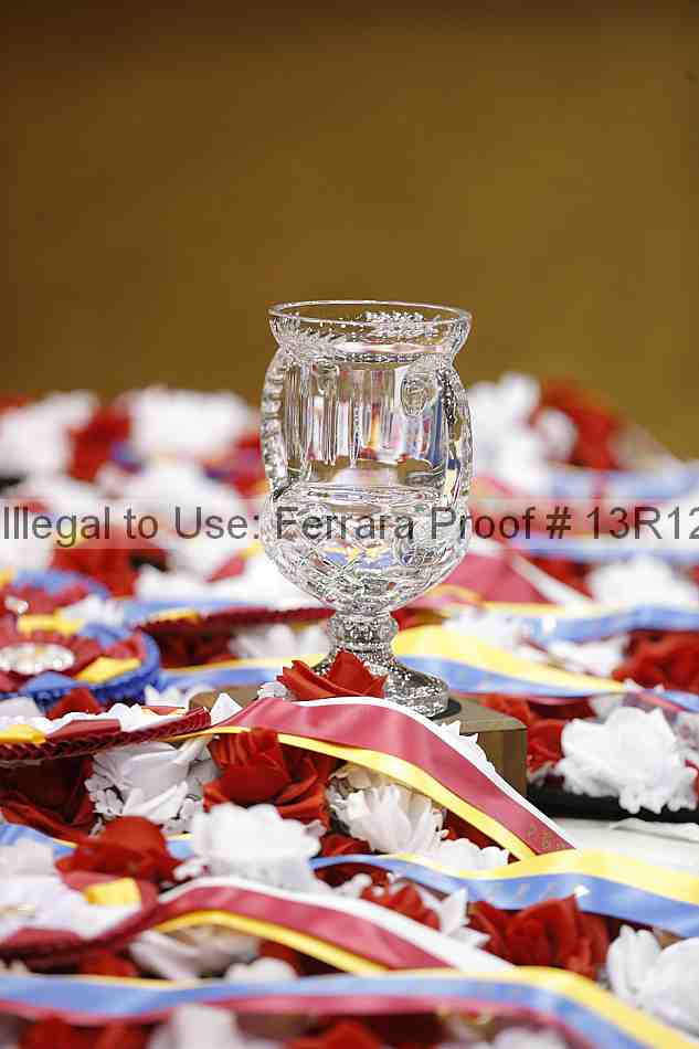 Proof Number 13r12_6346