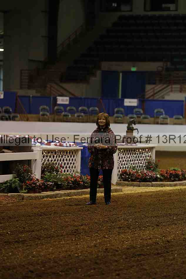 Proof Number 13r12_8342