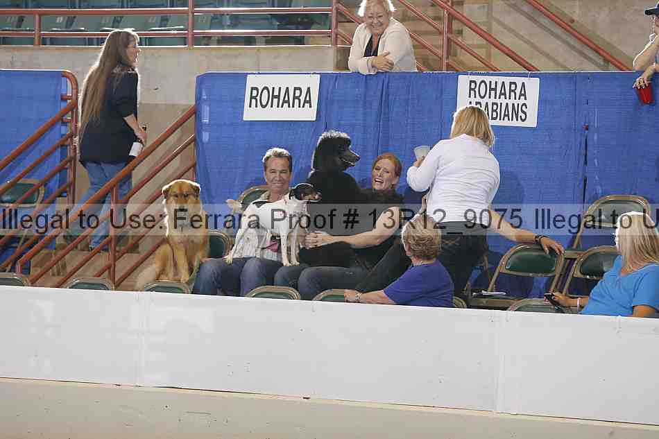 Proof Number 13r12_9075