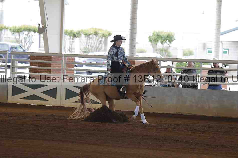 Proof Number 13r12_0740