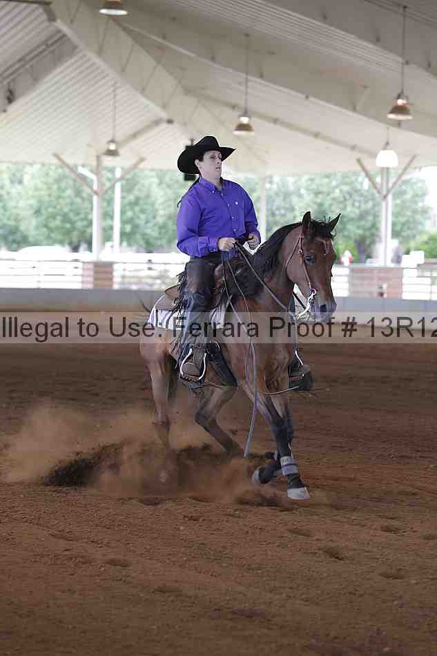 Proof Number 13r12_0744