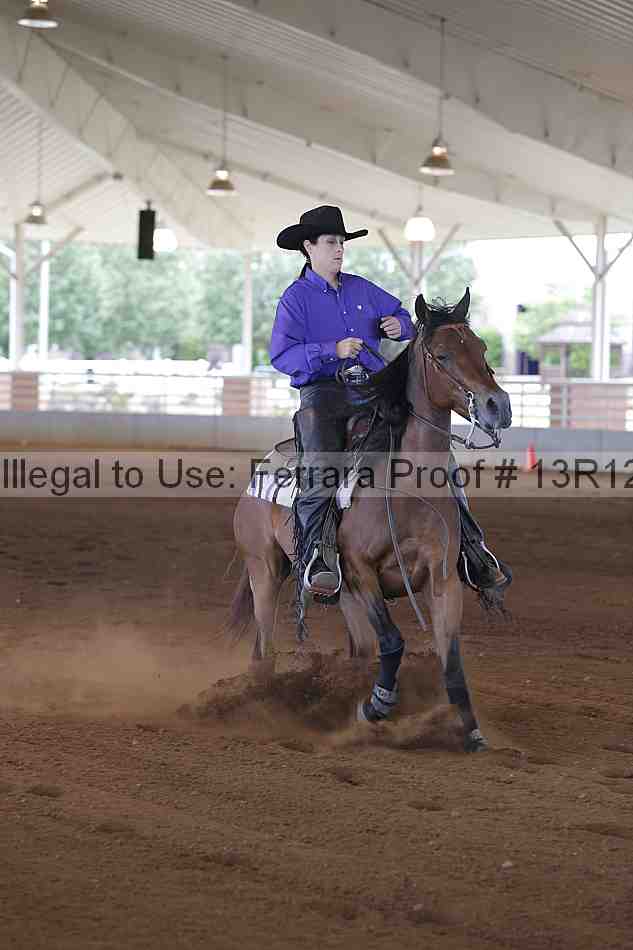 Proof Number 13r12_0745