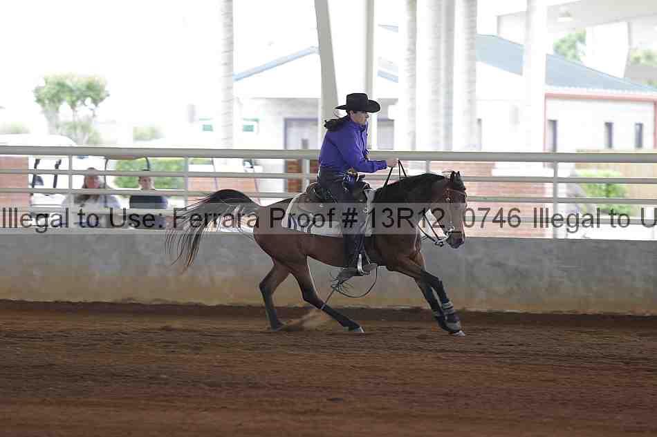 Proof Number 13r12_0746