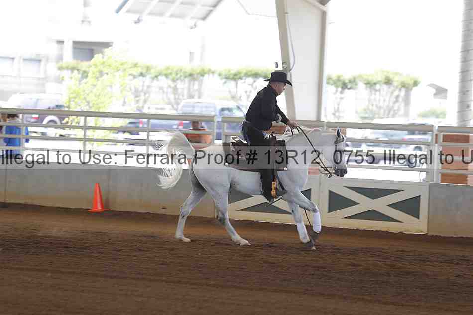 Proof Number 13r12_0755