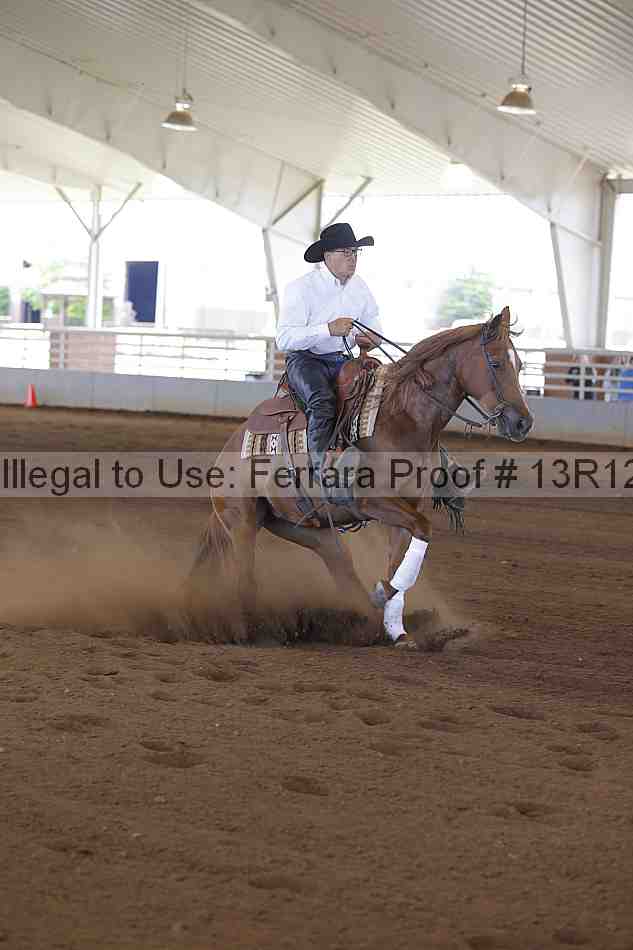 Proof Number 13r12_0769