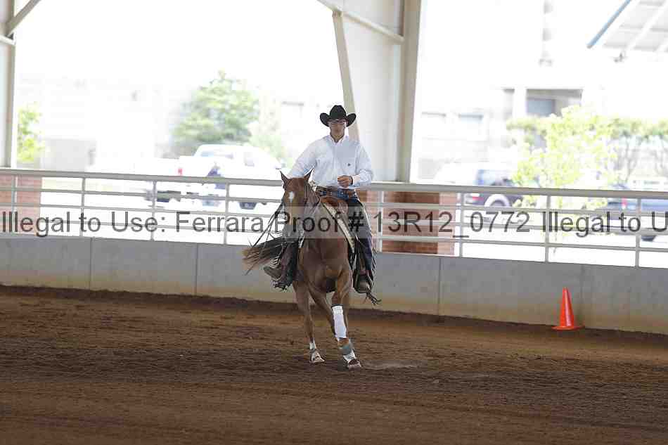 Proof Number 13r12_0772