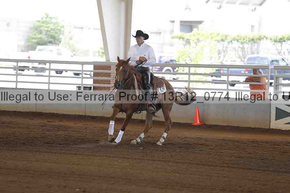 Proof Number 13r12_0774
