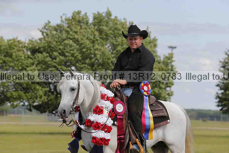 Proof Number 13r12_0783