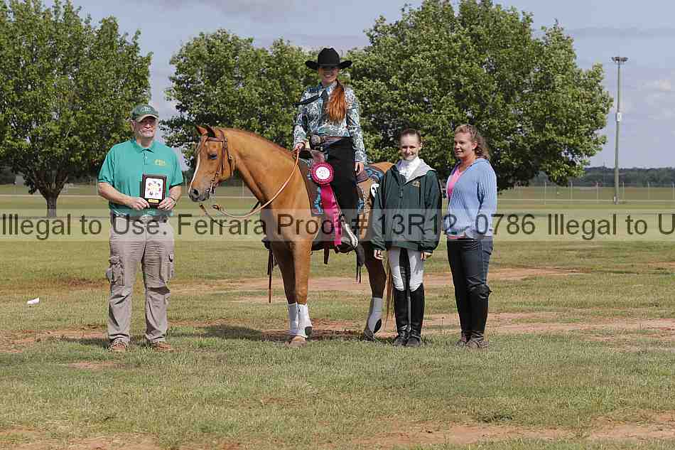 Proof Number 13r12_0786