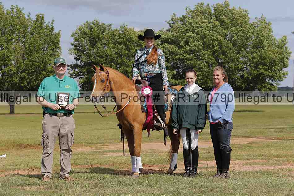 Proof Number 13r12_0790