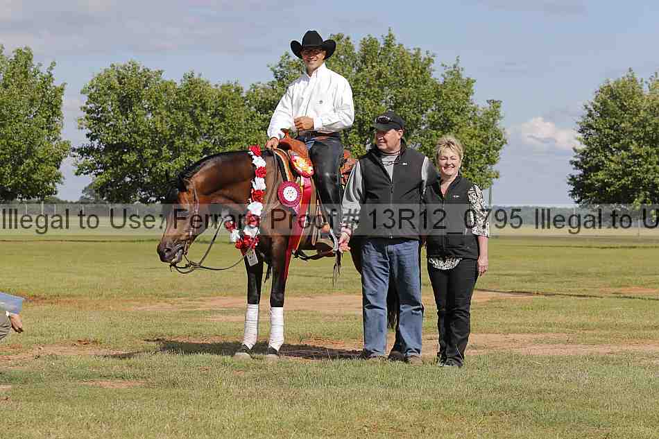 Proof Number 13r12_0795