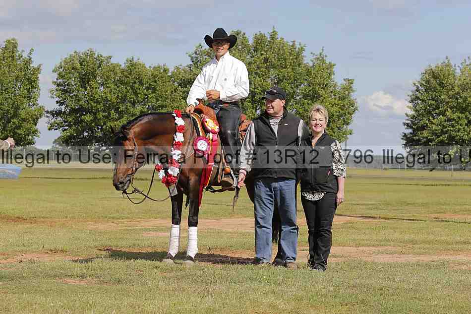 Proof Number 13r12_0796
