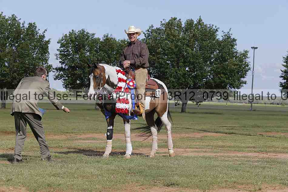 Proof Number 13r12_0799